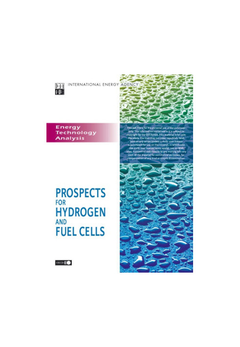 Prospects for hydrogen and fuel Cells.
