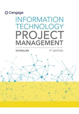 Information Technology Project Management