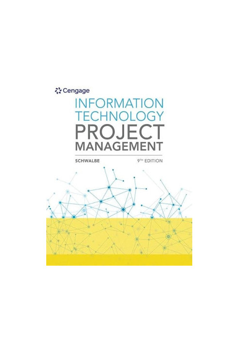 Information Technology Project Management
