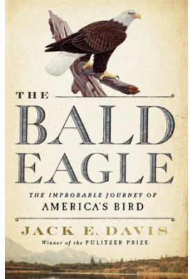 The Bald Eagle: The Improbable Journey of America's Bird