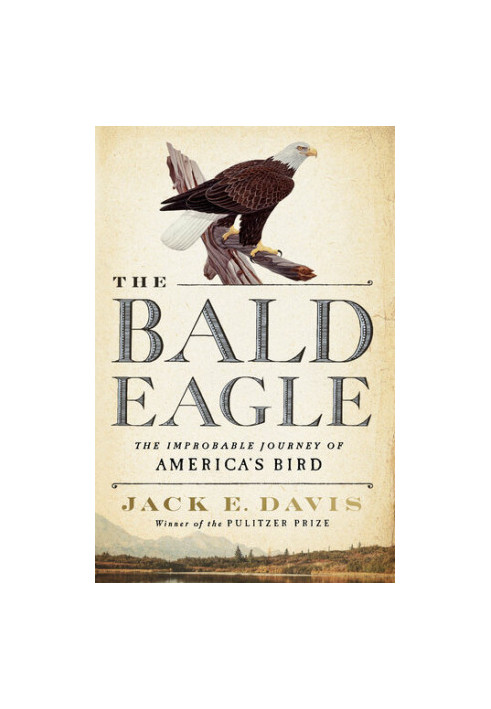 The Bald Eagle: The Improbable Journey of America's Bird