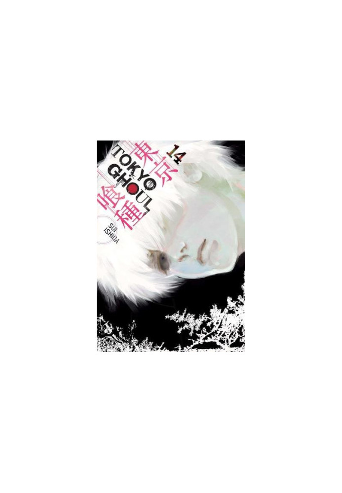 Tokyo Ghoul, Vol. 14