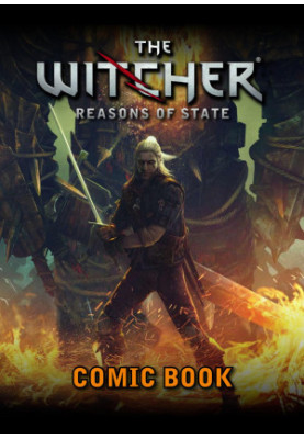 The Witcher: Reasons of State