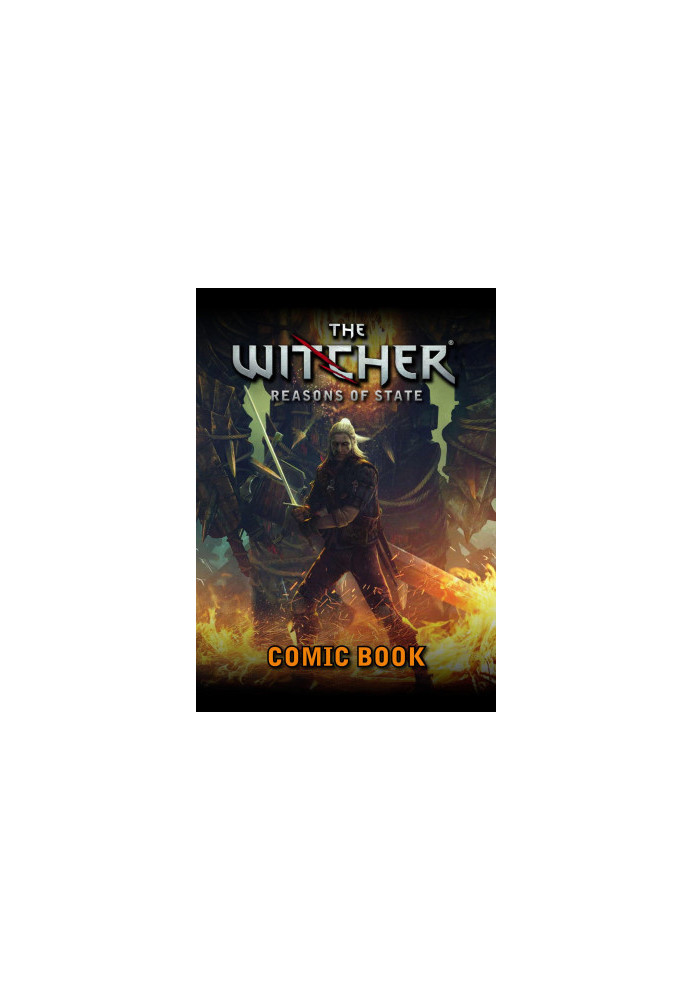 The Witcher: Reasons of State