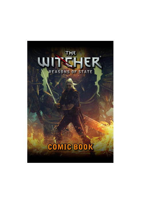The Witcher: Reasons of State