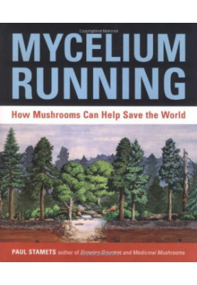 Mycelium running: how mushrooms can help save the world