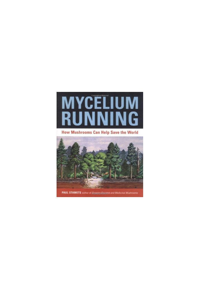 Mycelium running: how mushrooms can help save the world