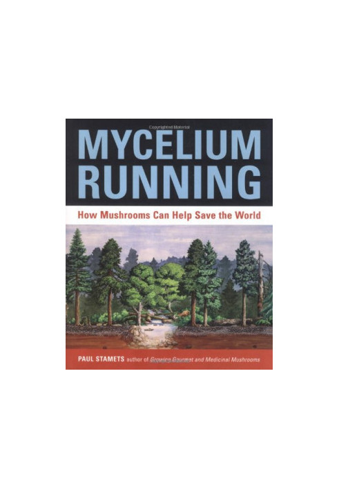 Mycelium running: how mushrooms can help save the world