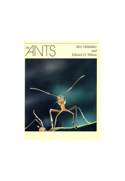 The Ants (1990)
