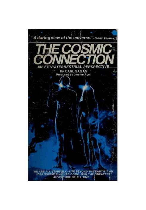 Cosmic Connection: An Extraterrestrial Perspective