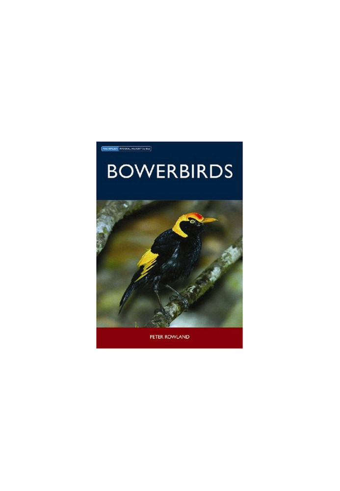 Bowerbirds (Australian Natural History)