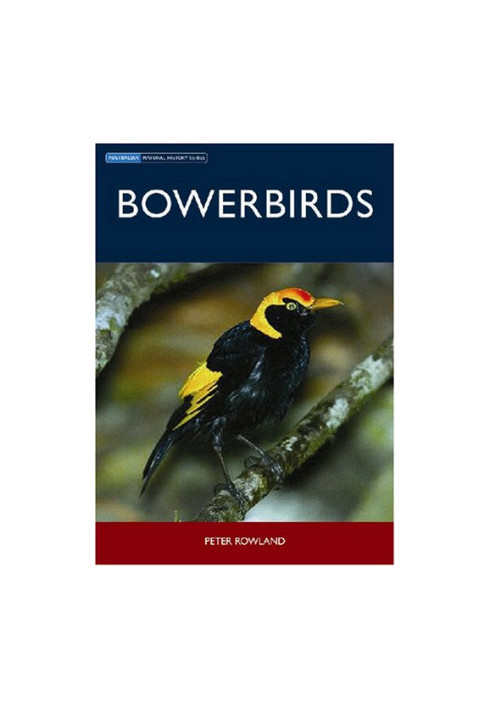 Bowerbirds (Australian Natural History)