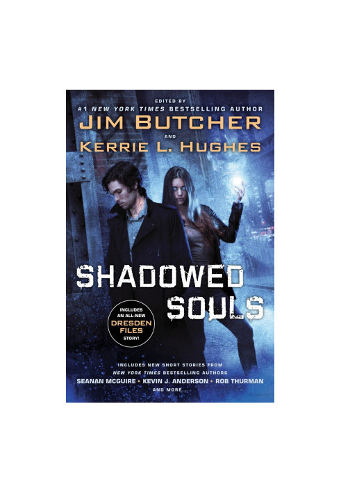 Cold case (The Dresden Files, 14.5)