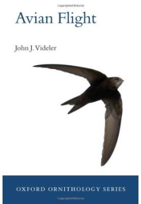 Avian flight