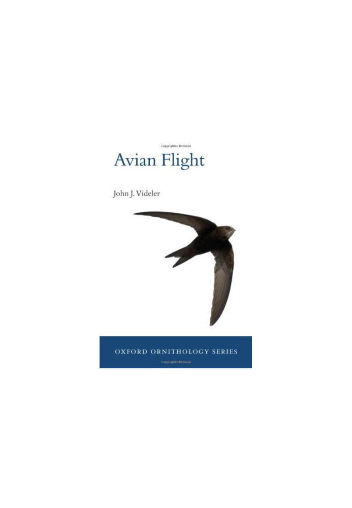 Avian flight