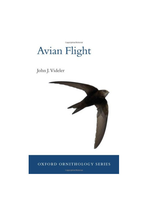 Avian flight