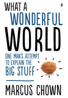 What a Wonderful World: One Man's Attempt to Explain the Big Stuff