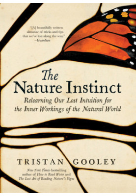 The Nature Instinct: Relearning Our Lost Intuition for the Inner Workings of the Natural World