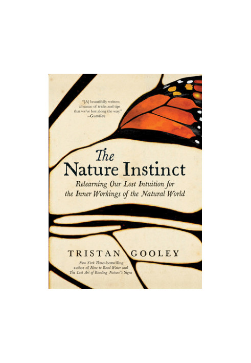 The Nature Instinct: Relearning Our Lost Intuition for the Inner Workings of the Natural World