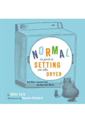Normal Is Just a Setting on the Dryer: And Other Lessons from the Real Real World
