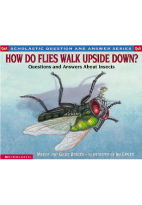 How Do Flies Walk Upside Down?: Questions and Answers About Insects