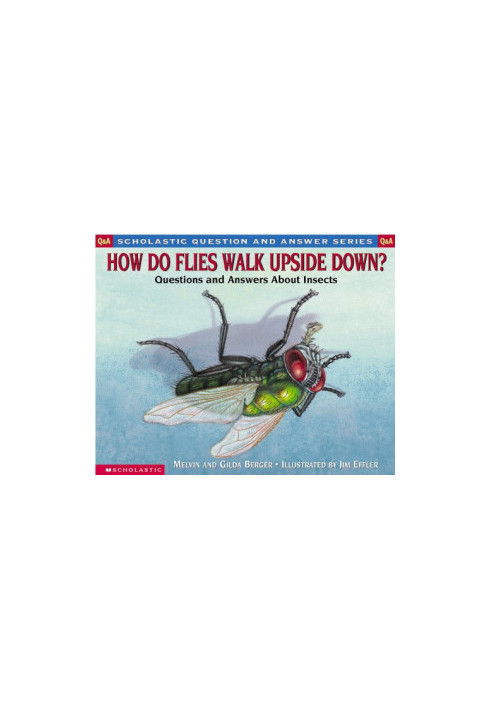 How Do Flies Walk Upside Down?: Questions and Answers About Insects