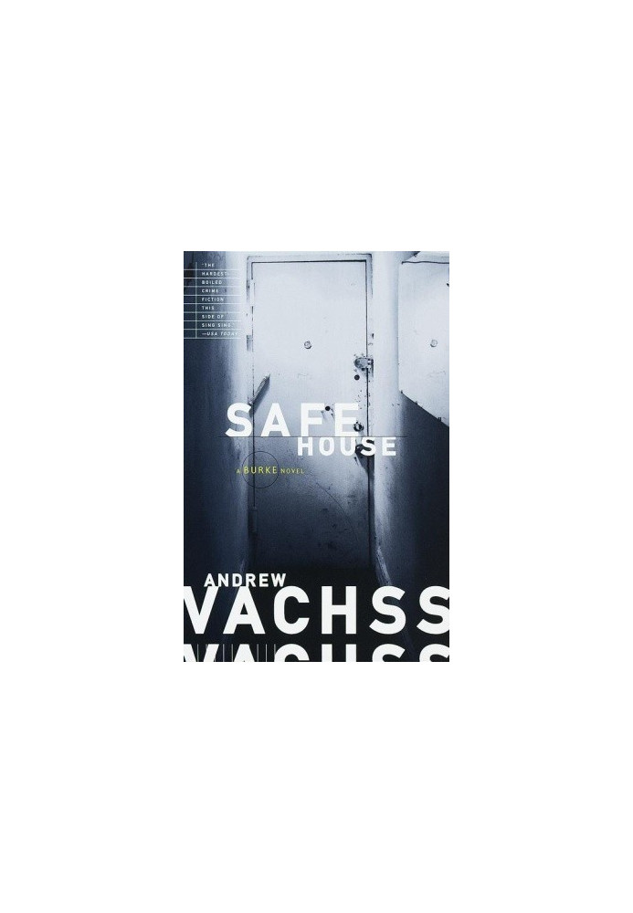 Safe House (Burke Series Book 10)