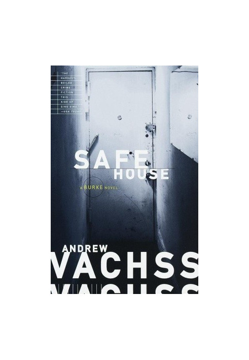 Safe House (Burke Series Book 10)