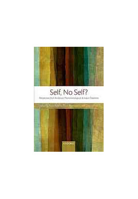 Self, no self? : perspectives from analytical, phenomenological, and Indian traditions