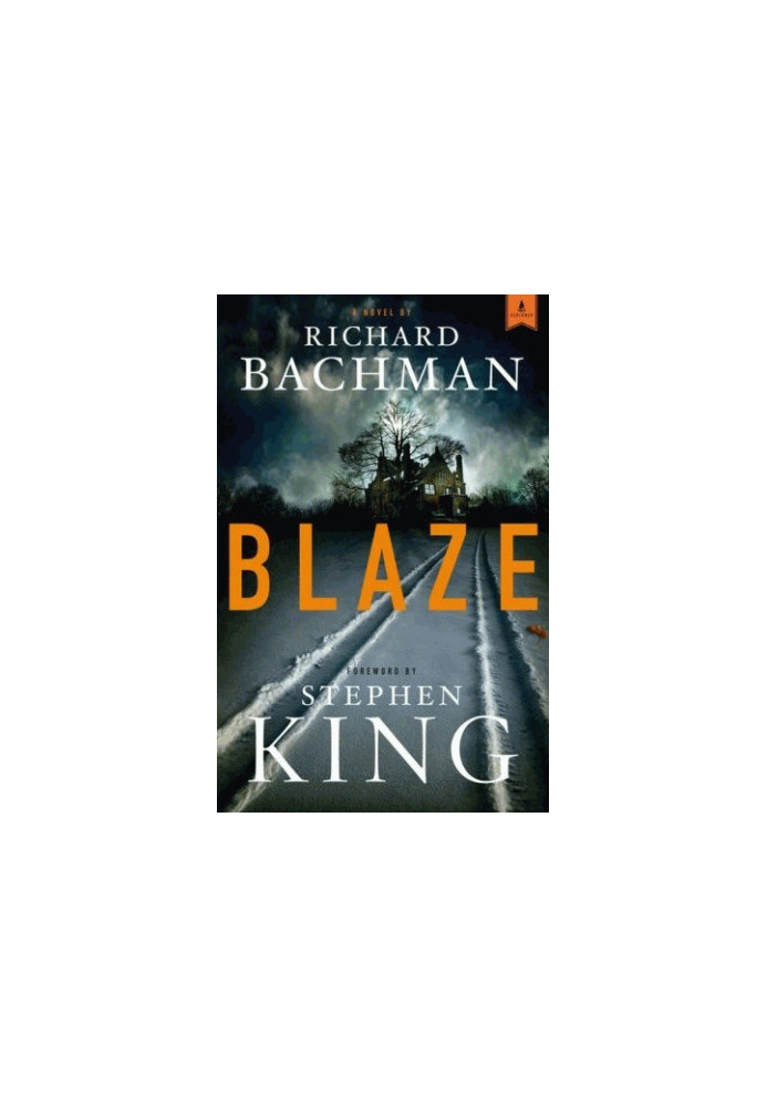 Blaze (Platinum Mystery Series)