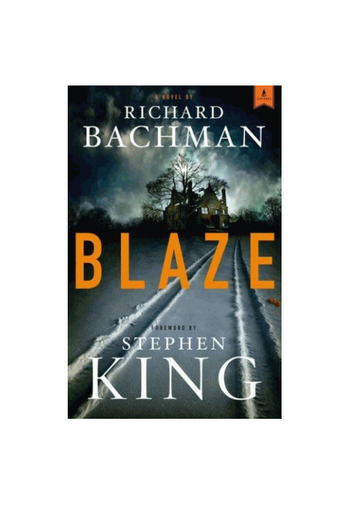 Blaze (Platinum Mystery Series)