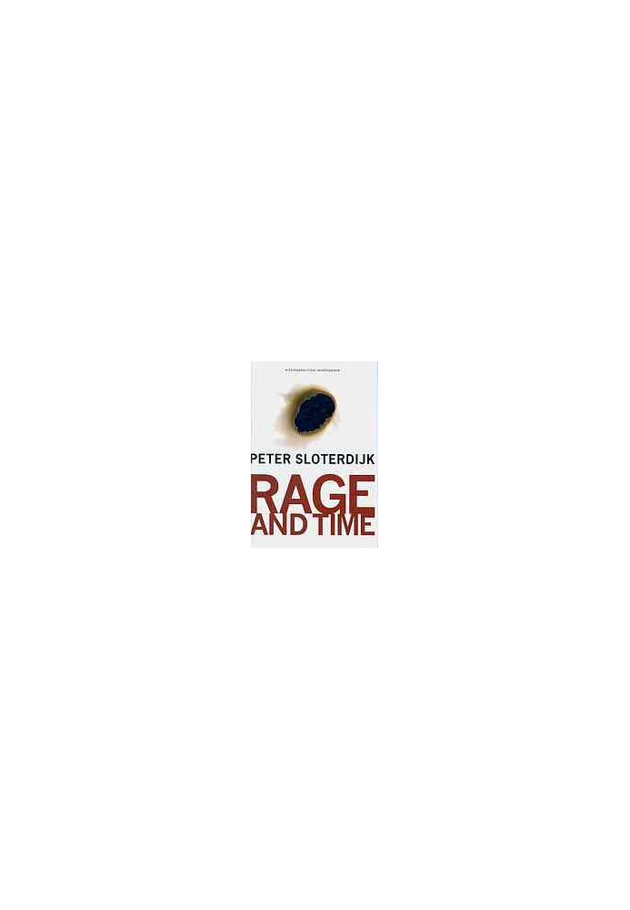 Rage and time : a psychopolitical investigation