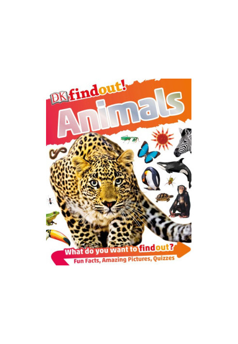 DK findout! Animals