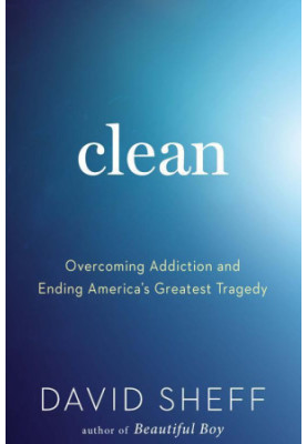 Clean: Overcoming Addiction and Ending America's Greatest Tragedy