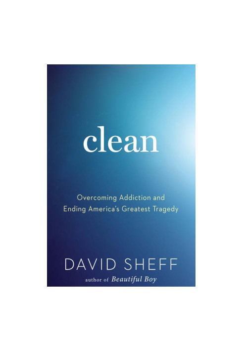 Clean: Overcoming Addiction and Ending America's Greatest Tragedy