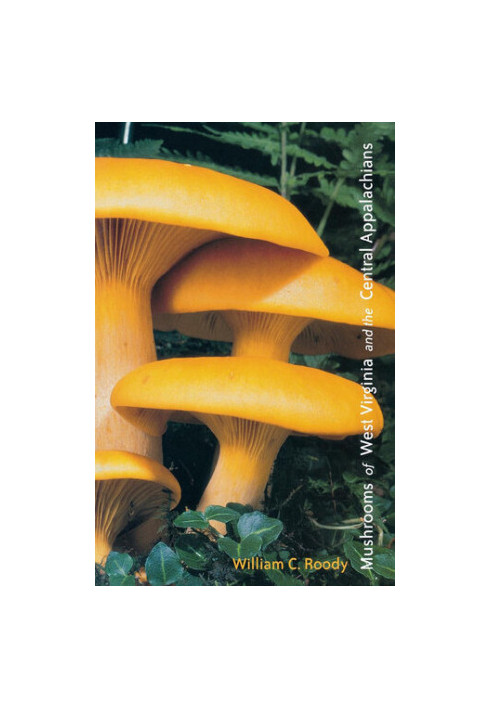 Mushrooms of West Virginia and the Central Appalachians