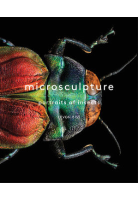 Microsculpture