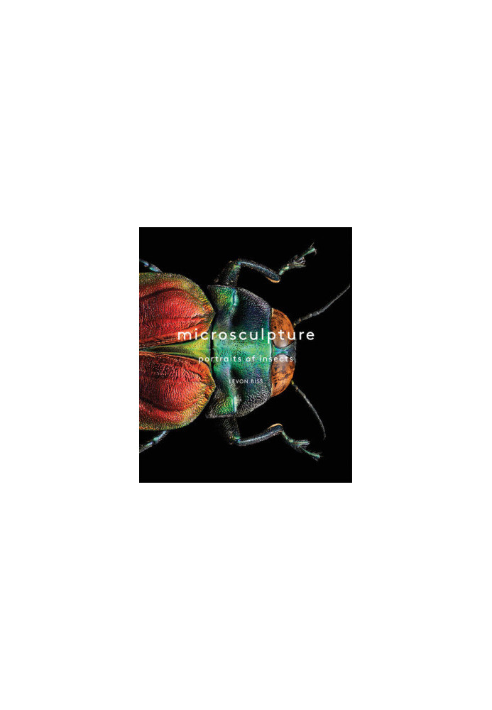 Microsculpture