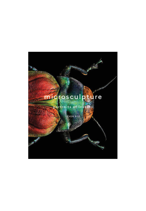 Microsculpture