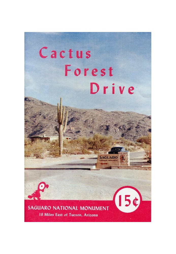 Cactus Forest Drive, Saguaro National Monument