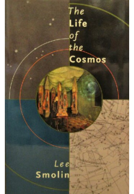 The Life of the Cosmos