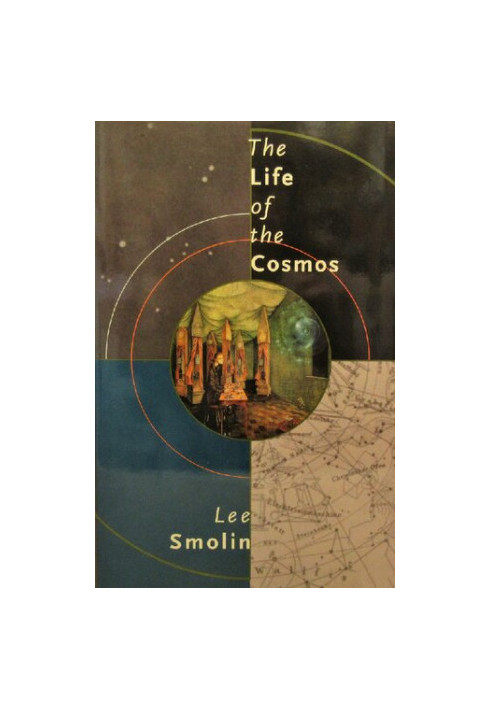 The Life of the Cosmos