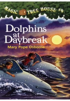 Dolphins at Daybreak
