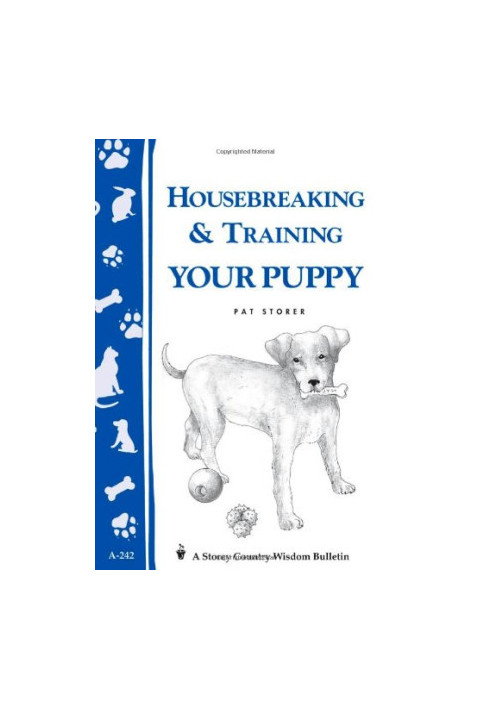 Housebreaking & Training Your Puppy