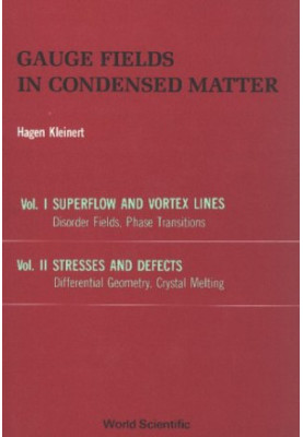 Gauge Fields in Condensed Matter