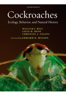 Cockroaches: Ecology, Behavior, and Natural History