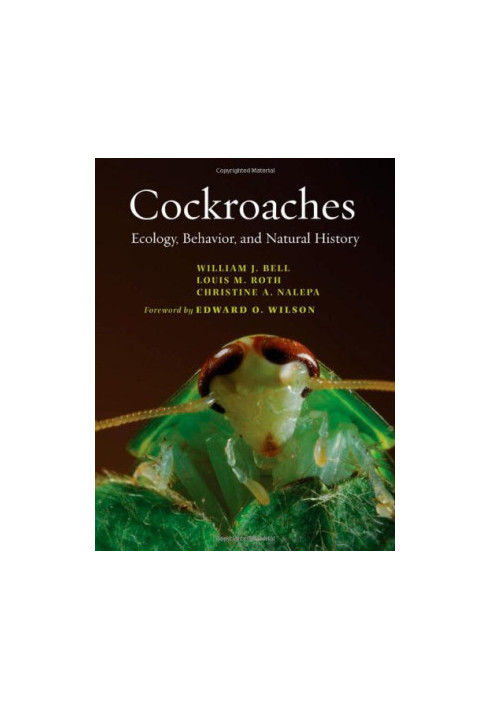 Cockroaches: Ecology, Behavior, and Natural History
