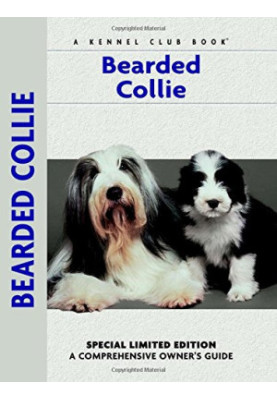 Bearded Collie