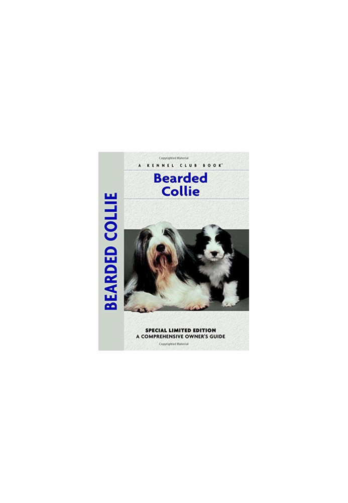 Bearded Collie