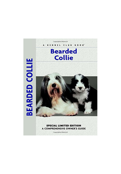 Bearded Collie